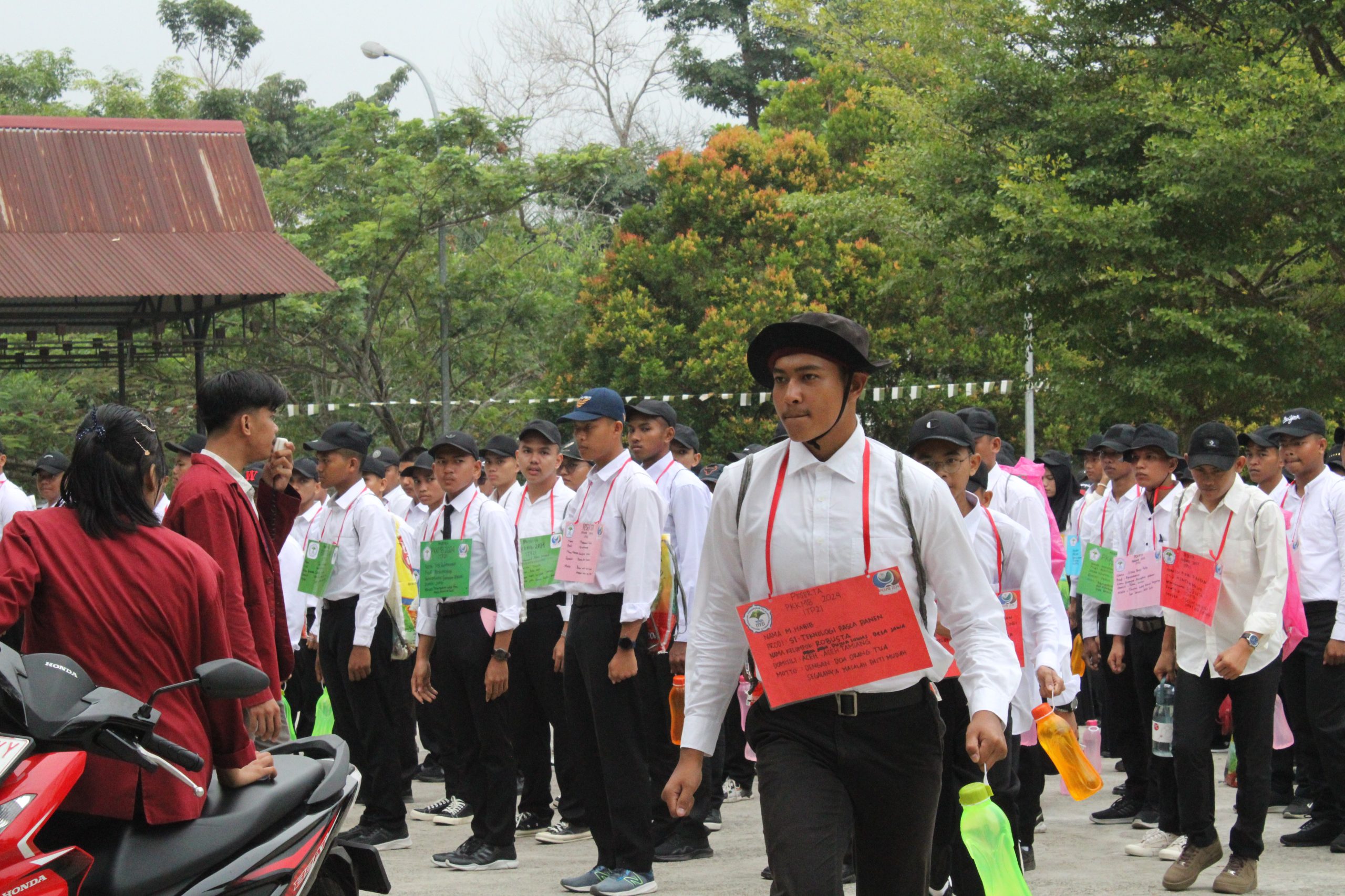 IMG_4623 IMG_4623